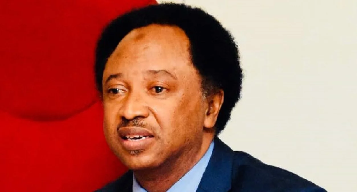 2027: North must support Tinubu to complete 8yrs, he did well – Shehu Sani